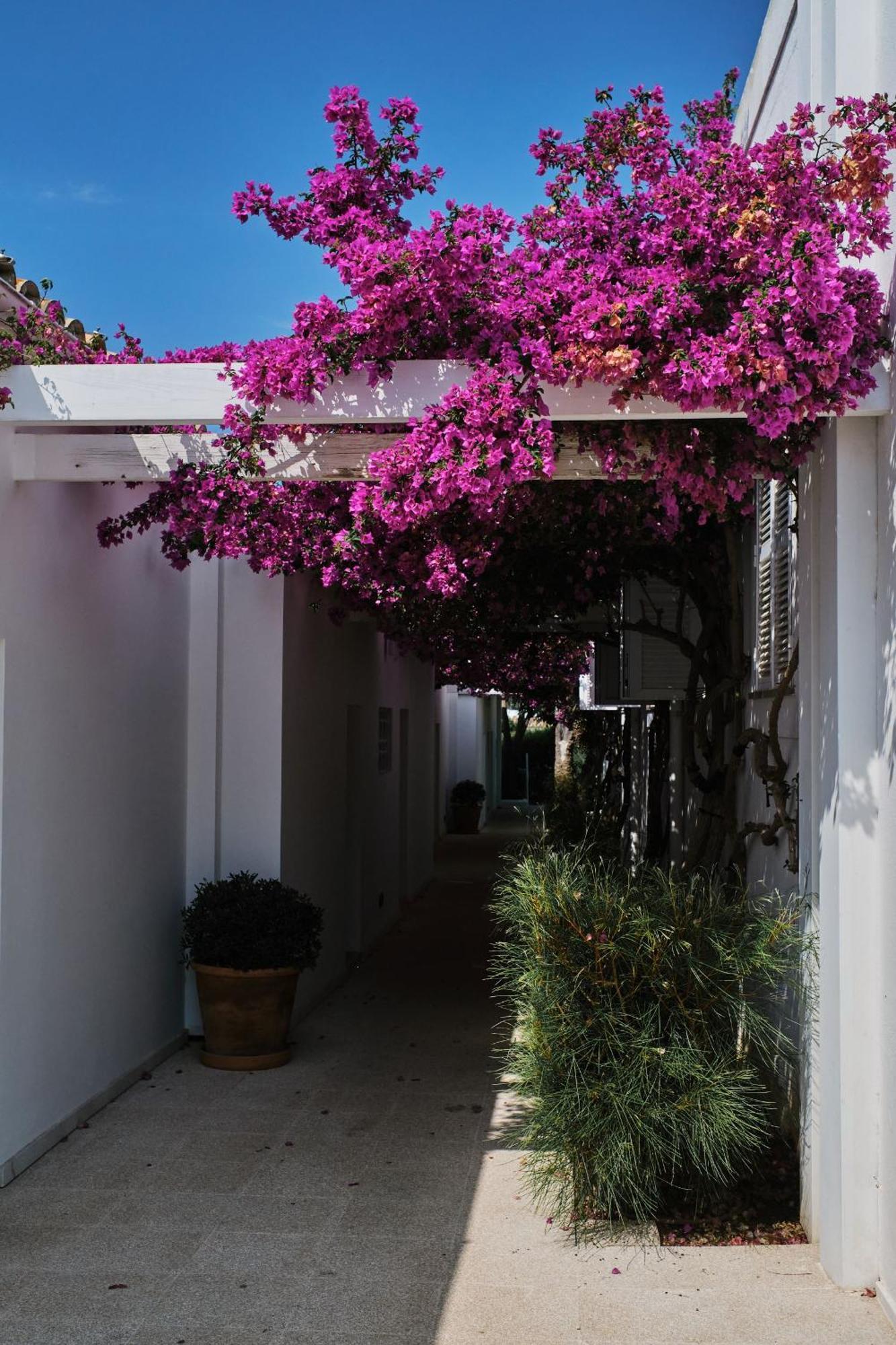 Prinsotel Mal Pas - Adults Only Alcúdia Kültér fotó